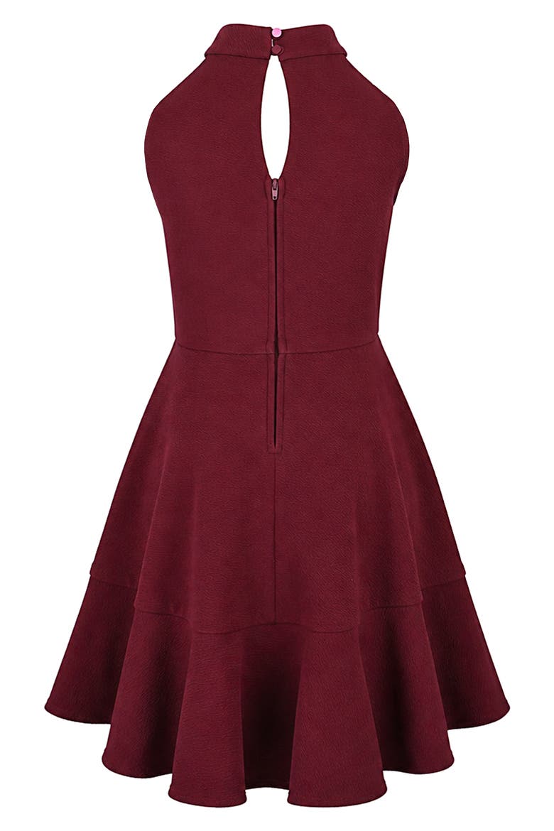 Kids' Textured Knit Skater Dress, Alternate, color, CRANBERRY