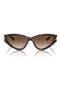  Havana / Gradient Brown