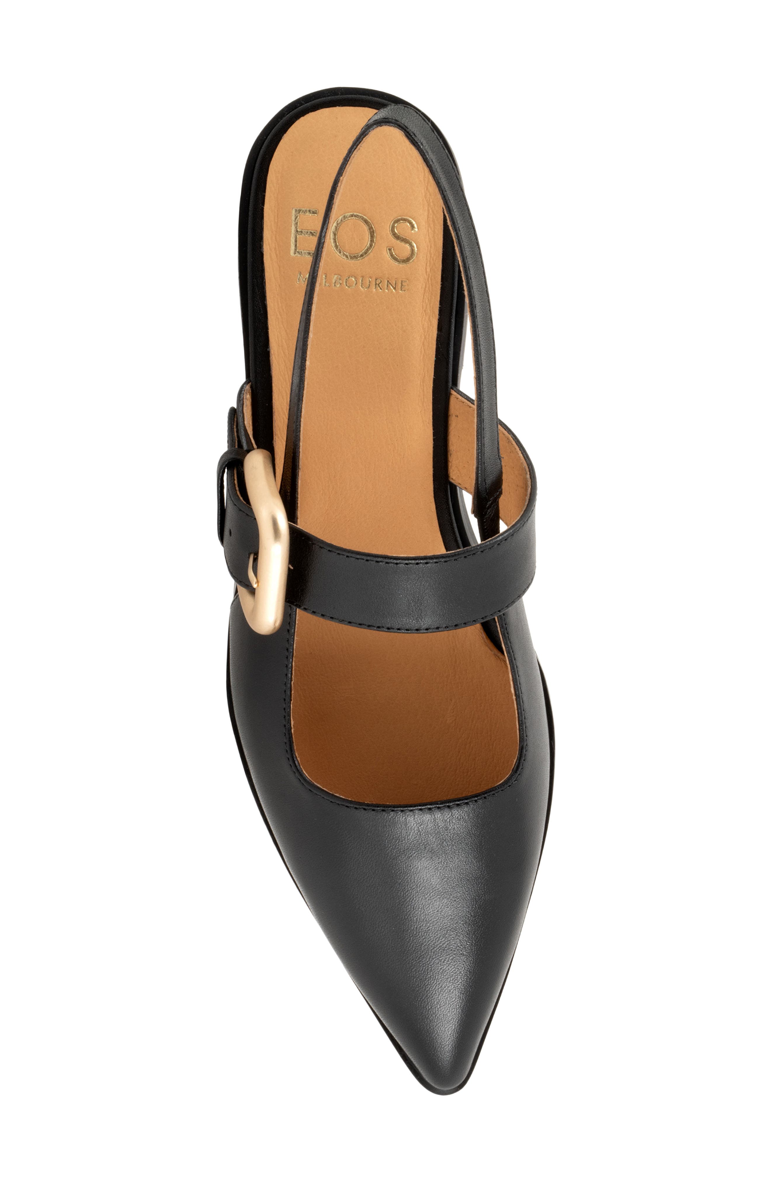 Goldie Pointed Toe Slingback Flat, Alternate, color, BLACK