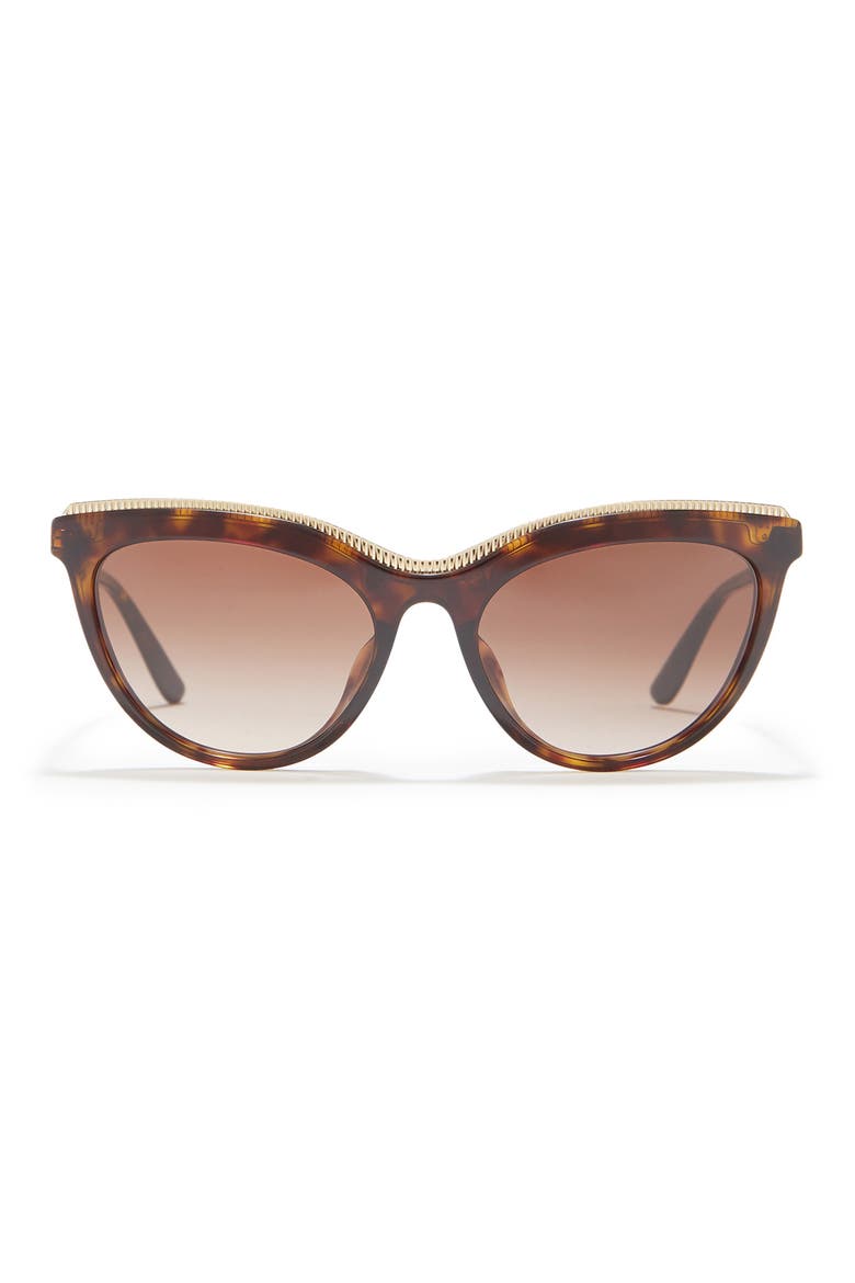 54mm Cat Eye Sunglasses, Main, color, HAVANA / DARK BROWN