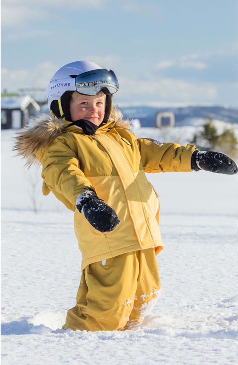 Roarsome Ski Goggles, Alternate, color, Silver