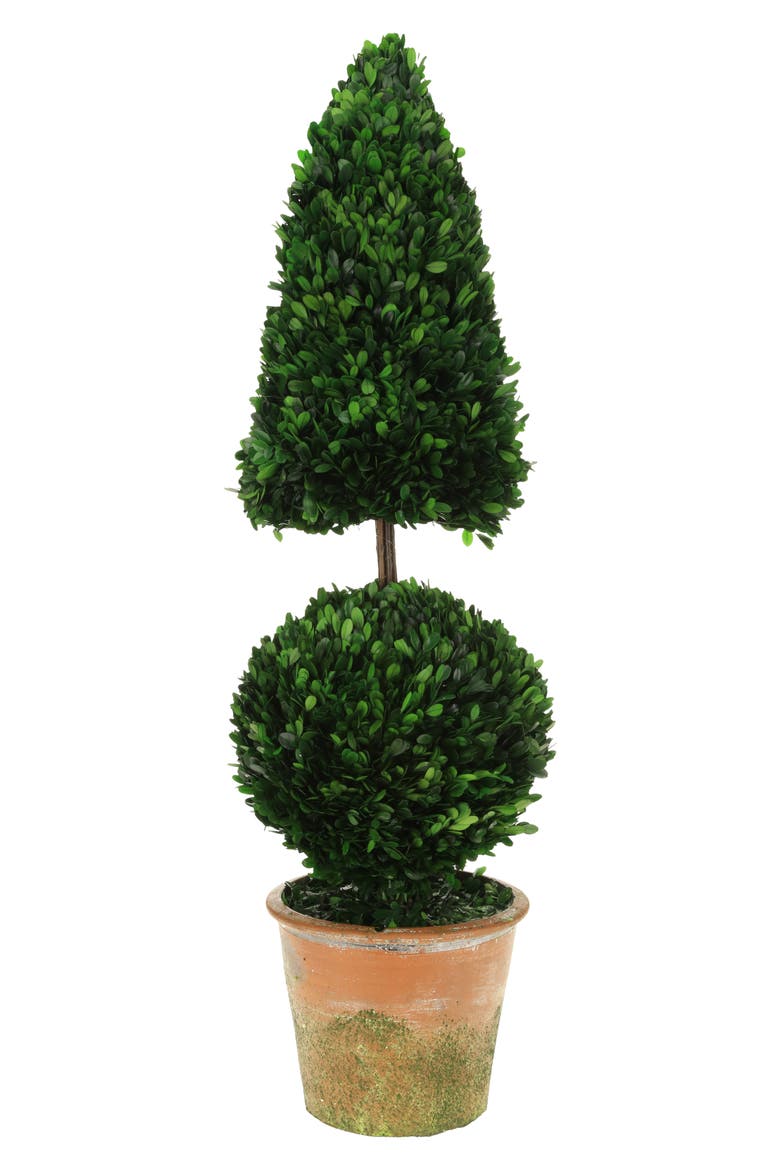 Boxwood Topiary Cone and Ball, Main, color, Green