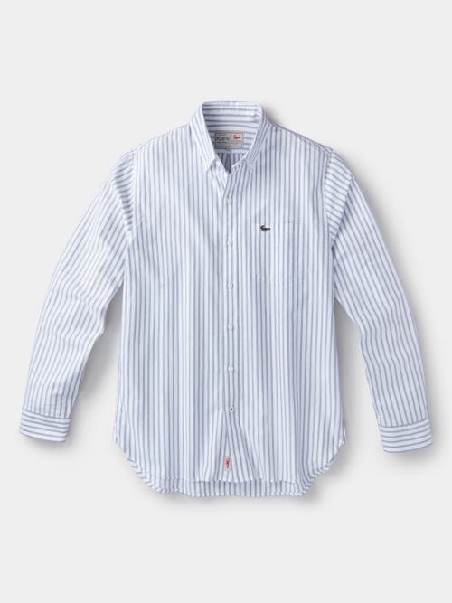 Aubin Aldridge Oxford Button Down Shirt In Purple