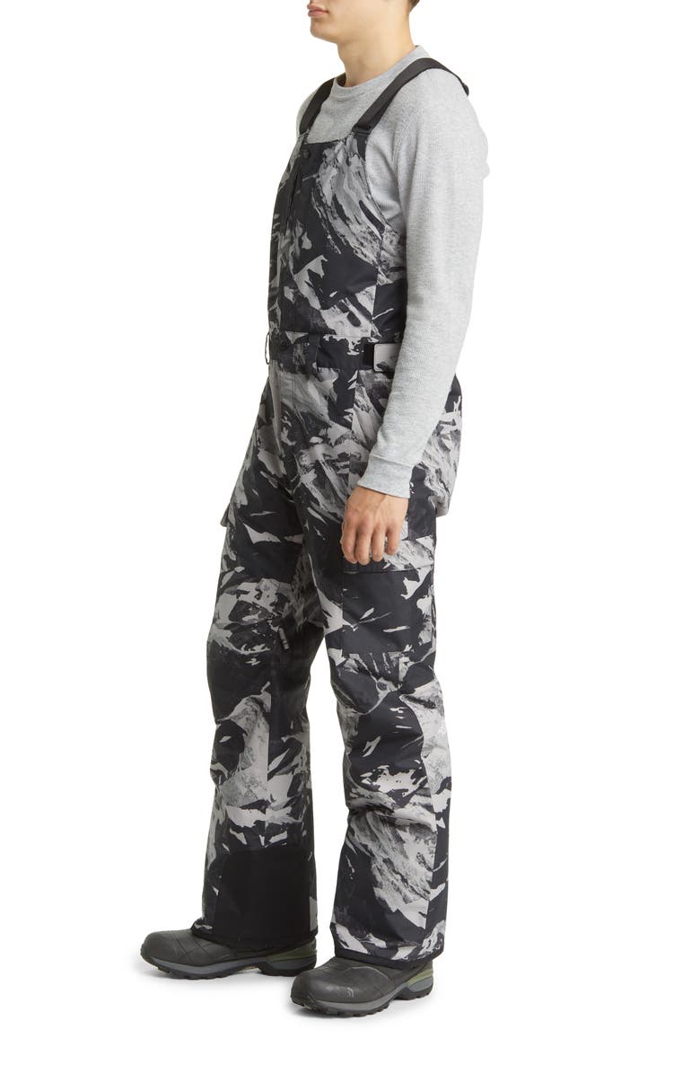 The North Face Freedom Waterproof Snow Bibs, Alternate, color, 