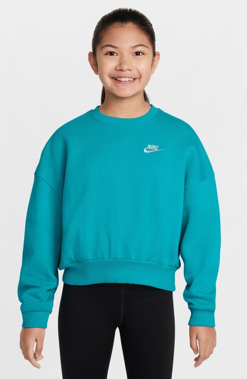 Nike Kids' Sportswear Club Fleece Crewneck Sweatshirt In Blue