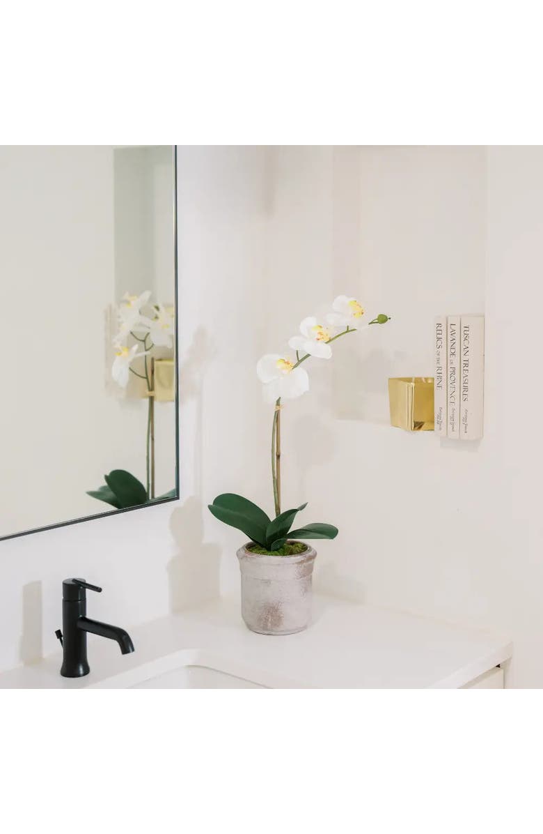 CG Hunter 22" Artificial White Phalaenopsis Orchids Set of 2, Main, color, White