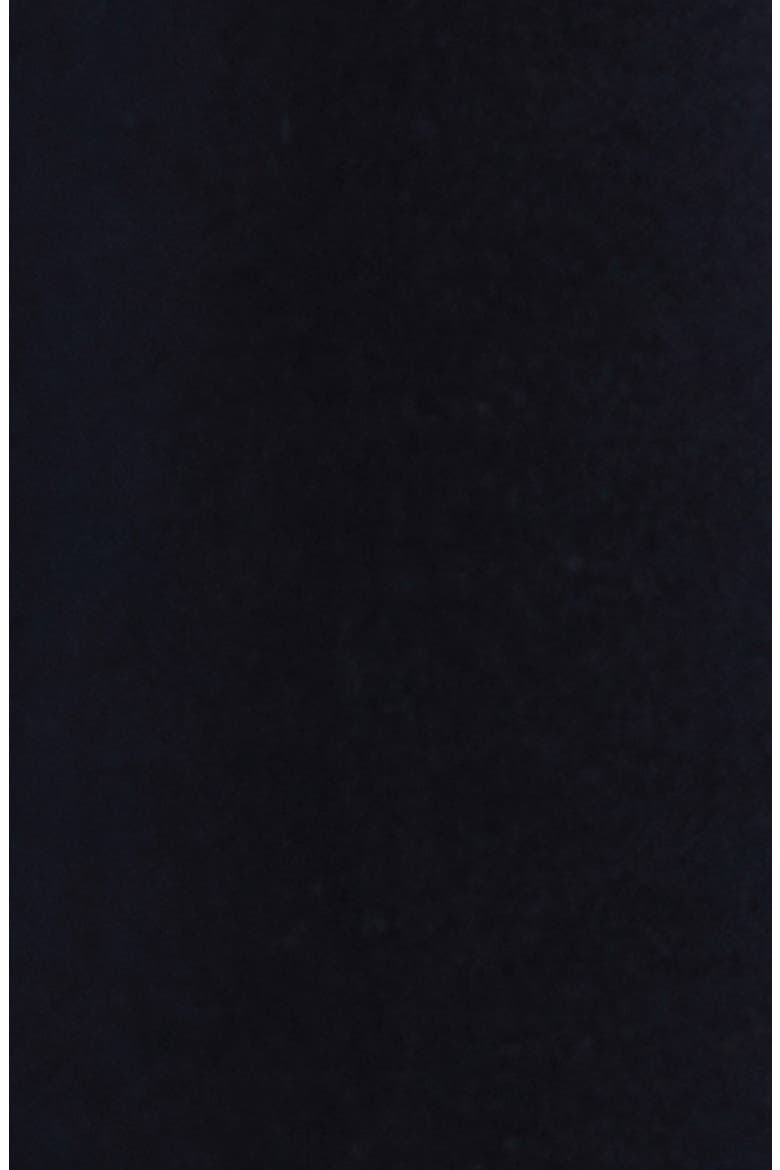 Cotton Moleskin Western Shirt, Alternate, color, NAVY