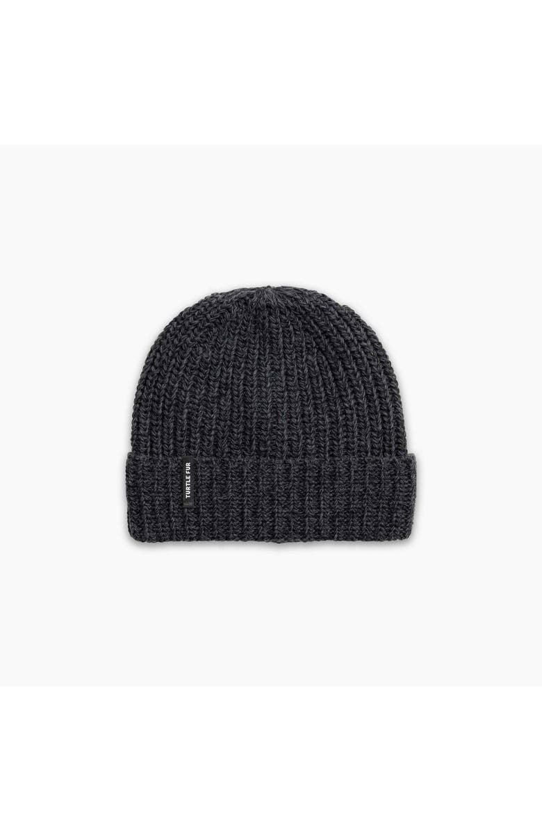 Turtle Fur Ethan Wool Beanie, Main, color, Black
