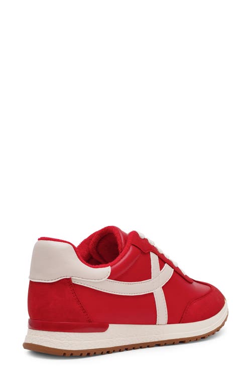 Dolce Vita Dv By Joque Sneaker In Multi