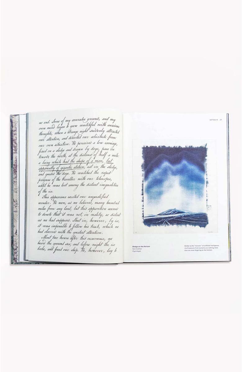 Bond & Grace Frankenstein Art Novel Collector's Edition, Alternate, color, Blue