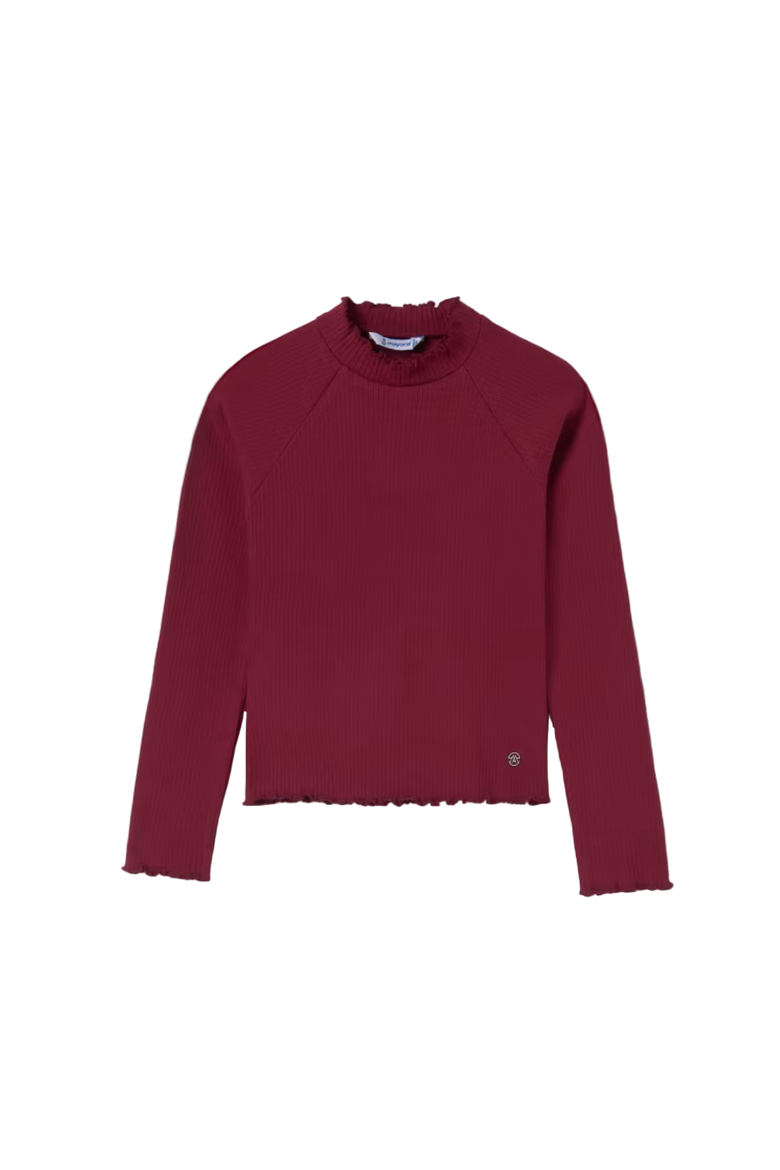 Ribbed Turtleneck, Main, color, Burgundy