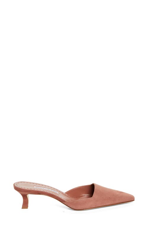 Manolo Blahnik Moiramu Pointed Toe Kitten Heel Mule