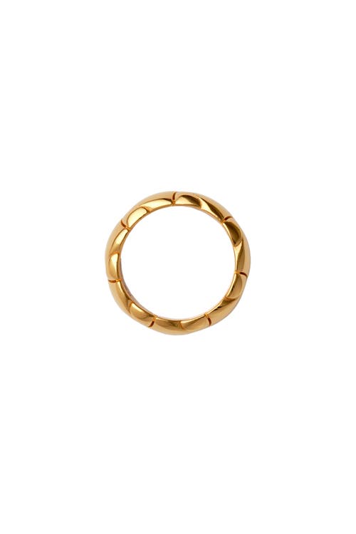 Shop Burberry Shield Segment Ring