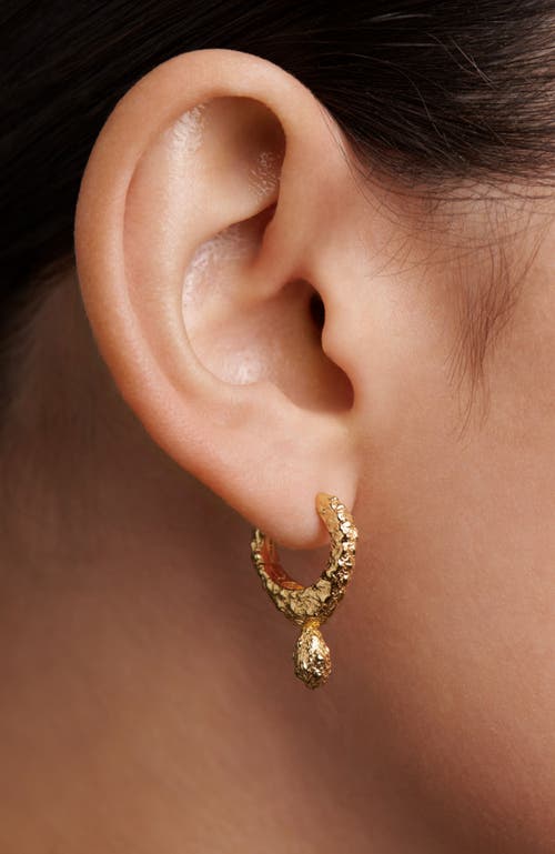 Pdpaola Lava Single Hoop In Gold