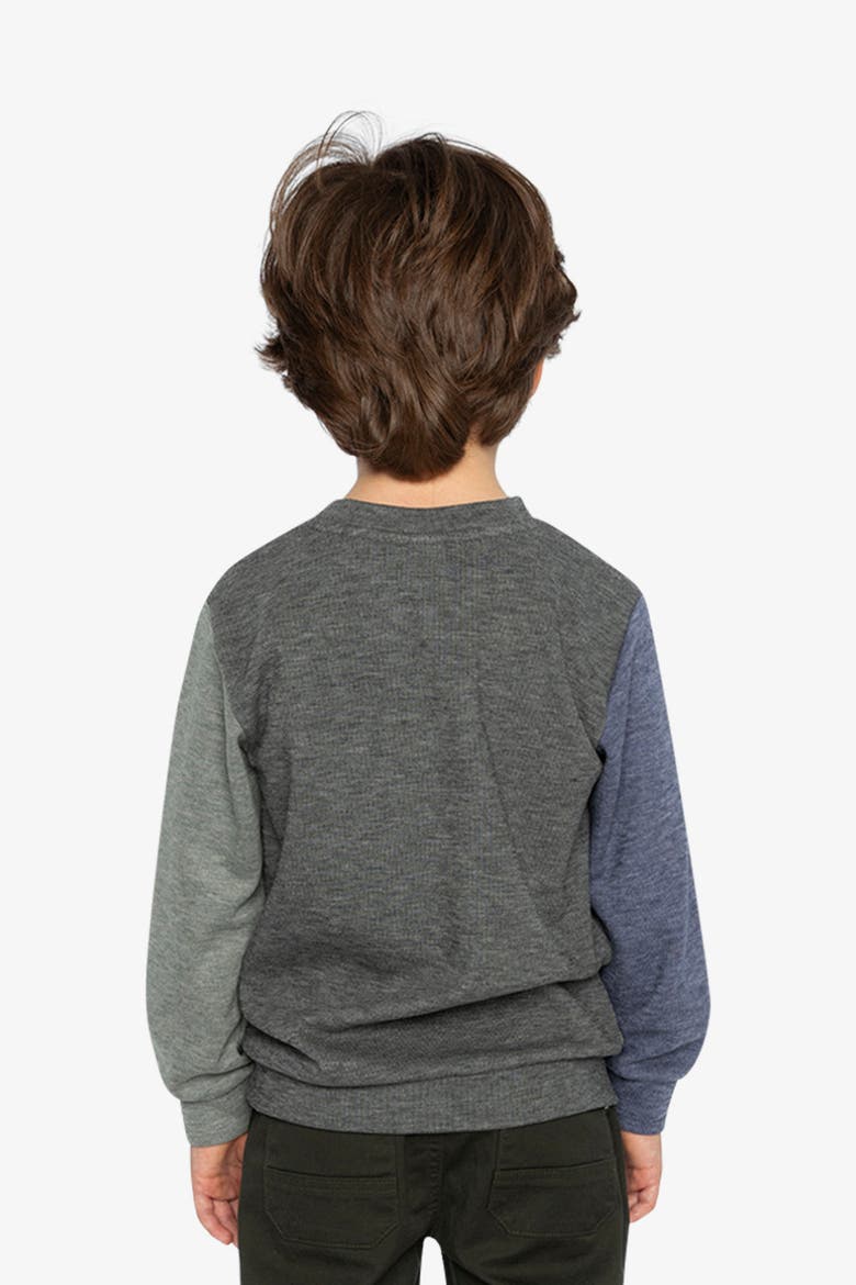 Colorblock Crew Neckline Jersey Top with Chest Pocket, Alternate, color, Pig Brown