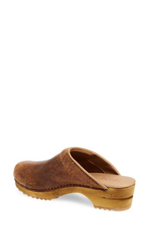 Sanita Melissa Clog In Brown