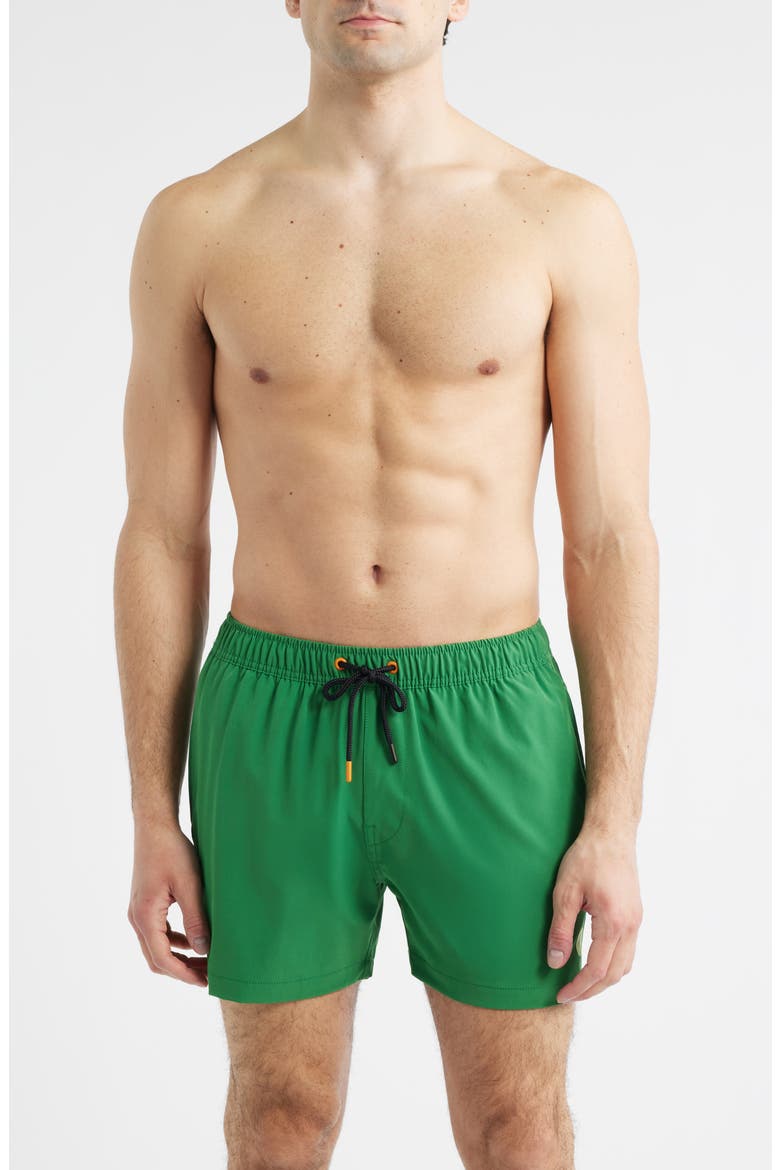 Demna Swim Trunks, Main, color, RAINFOREST GREEN