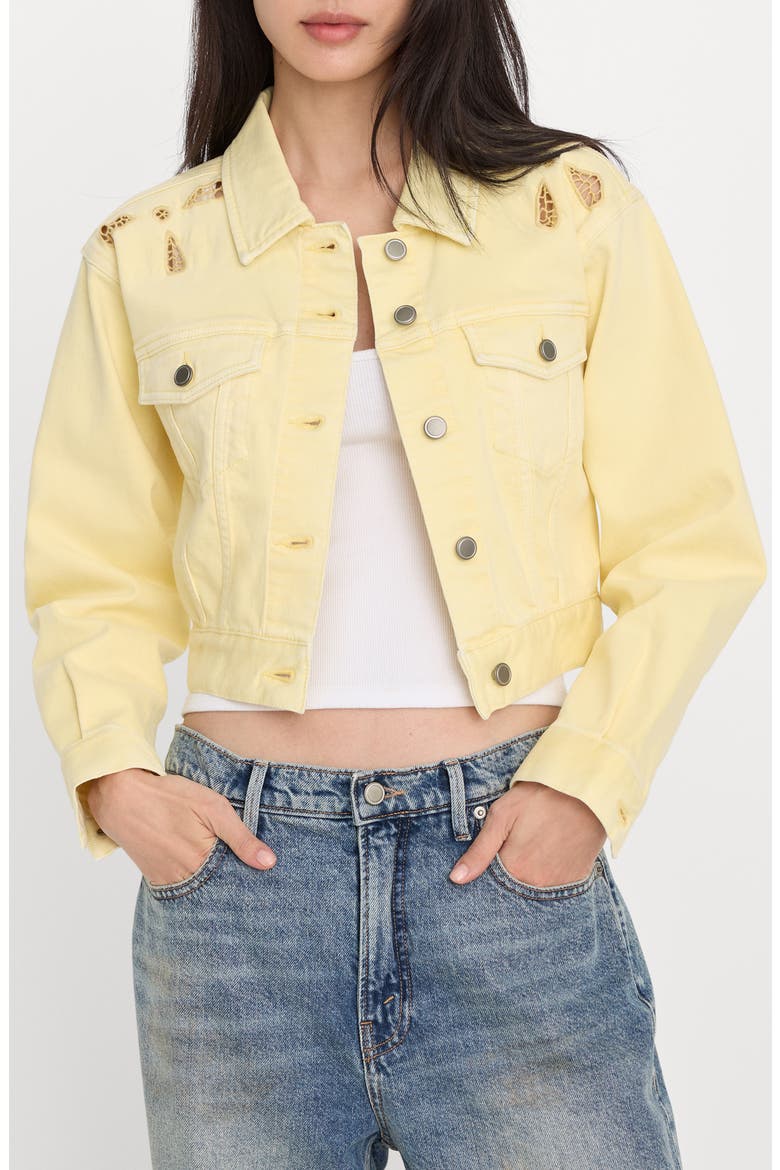 Essential Embroidered Crop Denim Jacket, Main, color, ANISE YELLOW