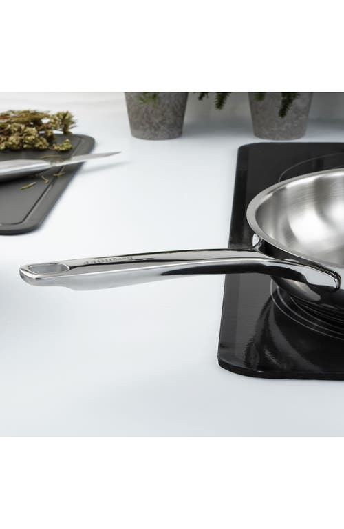 Berghoff Dina Helix 9.5-inch Fry Pan In Silver