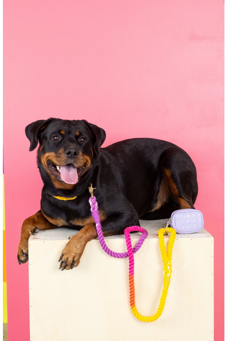 Roxy Rope Dog Leash, Alternate, color, Roxy 4ft