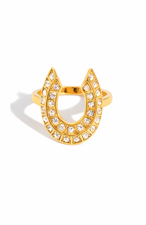 Stainless Steel Horseshoe Pavé Cubic Zirconia Statement Ring