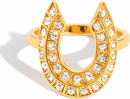Kellery Stainless Steel Horseshoe Pavé Cubic Zirconia Statement Ring