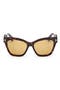 selected Dark Havana / Brown