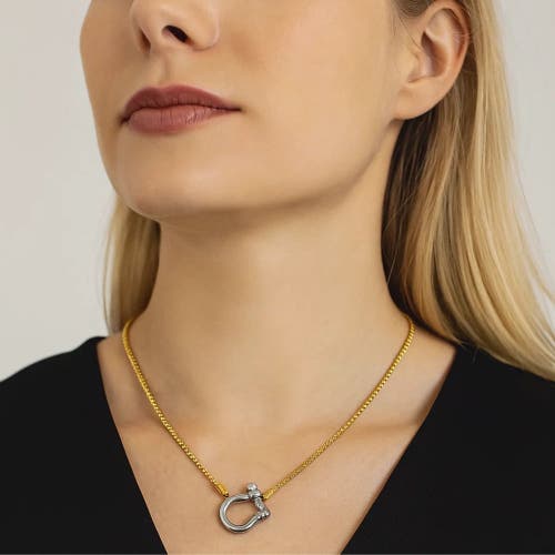 Hollywood Sensation Lucky Lock Carabiner Necklace Two Tone Mixed Metal Horseshoe Pendant Chain