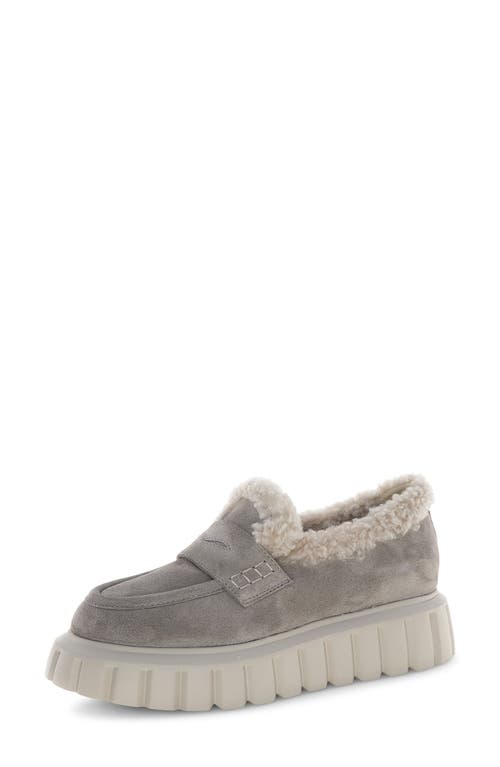Voile Blanche Grenelle Genuine Shearling Platform Loafer In Gray