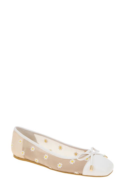 Bcbg Hartly Cap Toe Ballet Flat In White Daisy