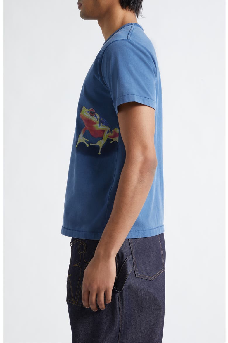 Peeking Frog Graphic T-Shirt, Alternate, color, MID BLUE