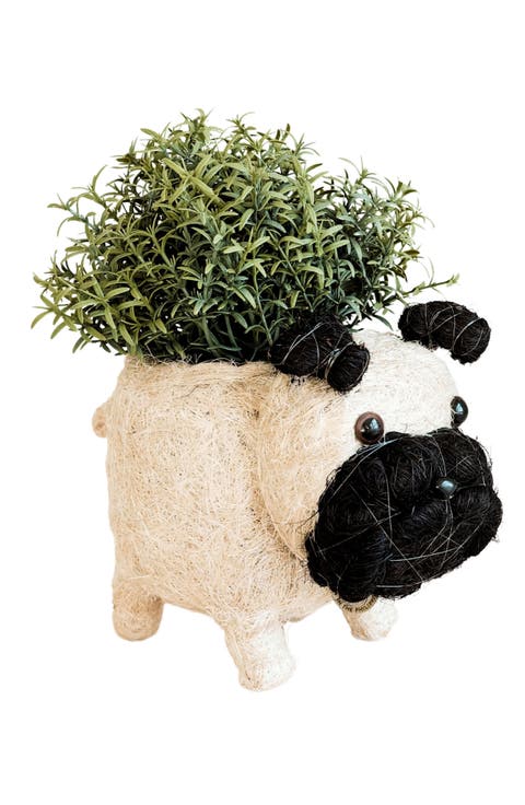 Pug Handwoven Planter