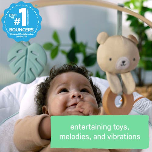 Ingenuity Cozy Spot Soothing Baby Bouncer With Wooden Toy Arch In Multi