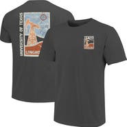 IMAGE ONE Men's Graphite Texas Longhorns Comfort Colors Distressed Graphics Minimal Vista T-Shirt