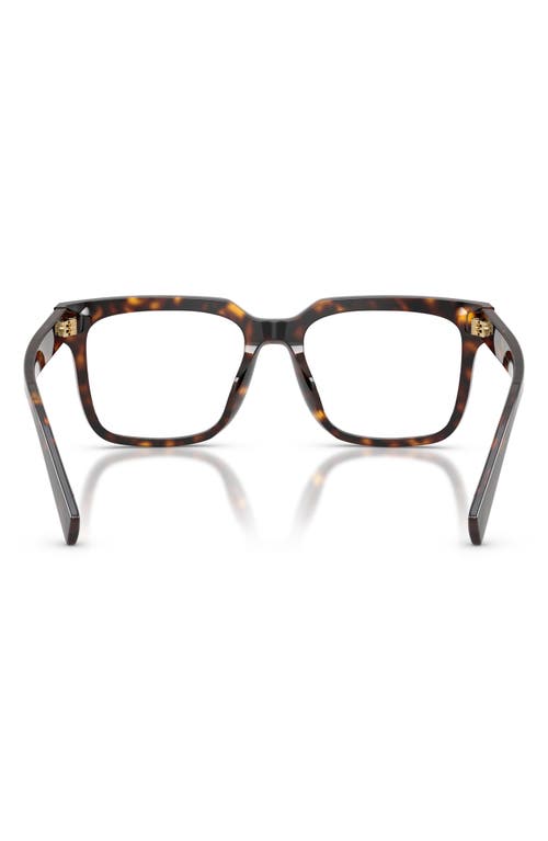 Dolce & Gabbana Dolce&gabbana 53mm Polarized Square Optical Glasses In Havana