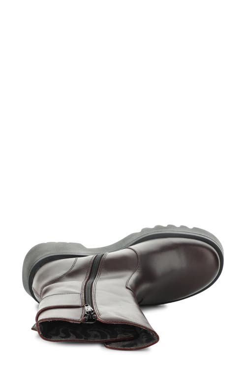 Fly London Mazz Boot In Burgundy