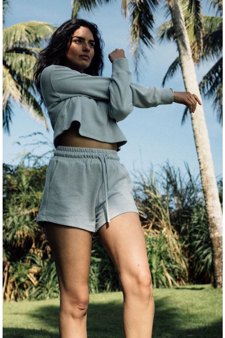 Hemp Essentials French Terry Shorts, Alternate, color, Blue