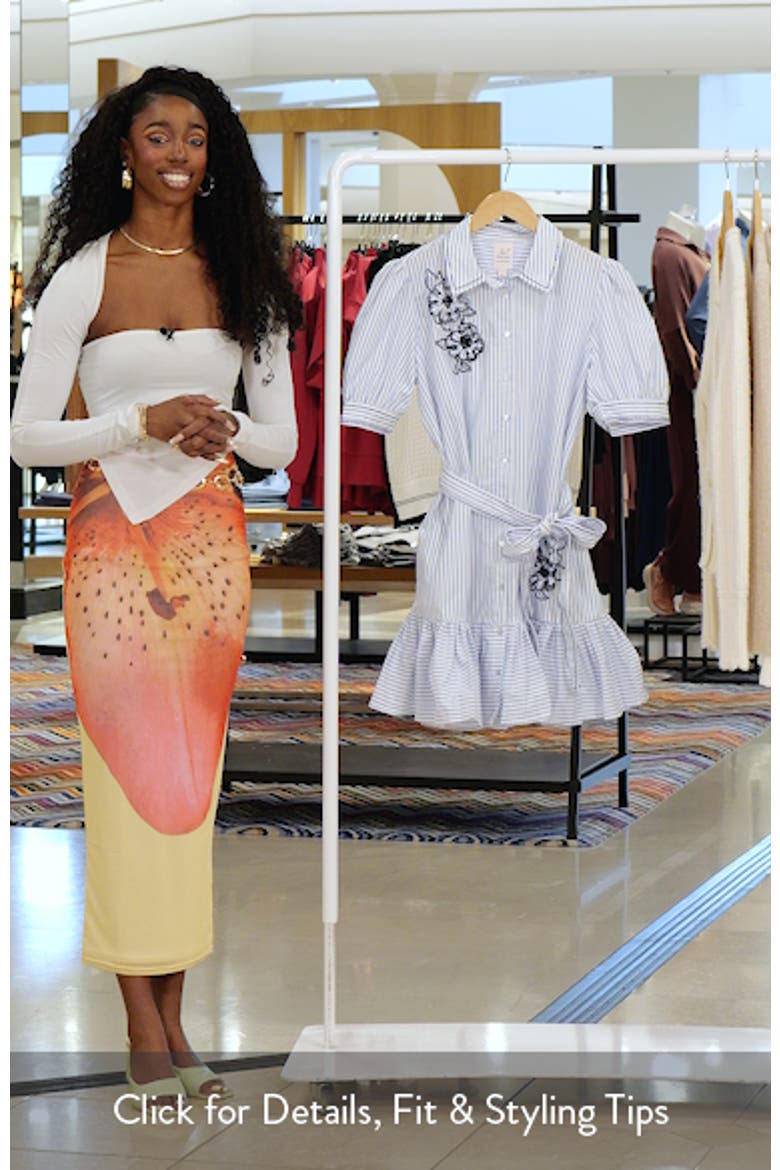 Zadie Floral Appliqué Stripe Cotton Blend Shirtdress video