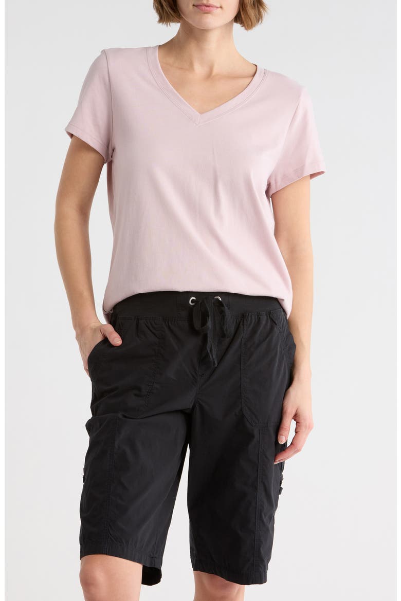 Embroidered Logo V-Neck T-Shirt, Main, color, ALLURE