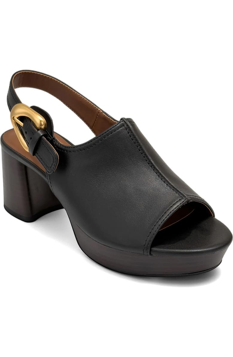 Aerosoles Chancey Platform Sandal, Main, color, Black Faux Leather