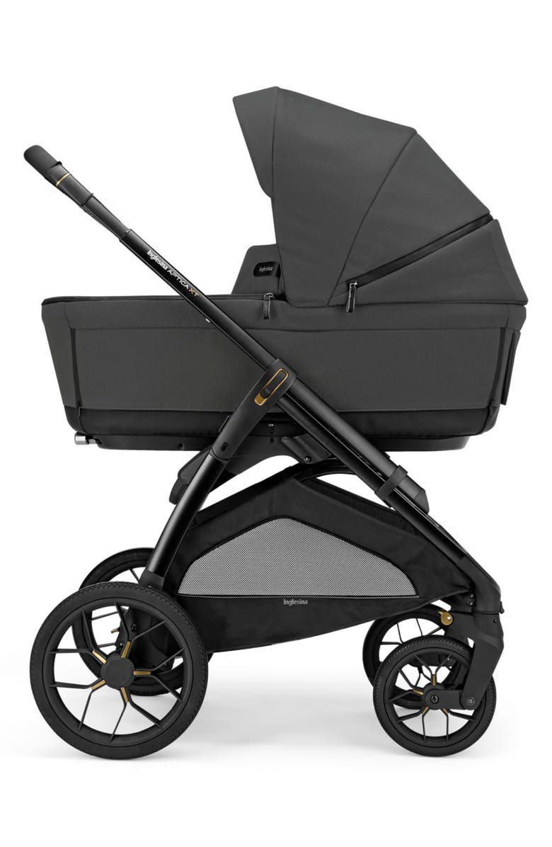 Inglesina Aptica XT Stroller & Bassinet+Stand, Alternate, color, 