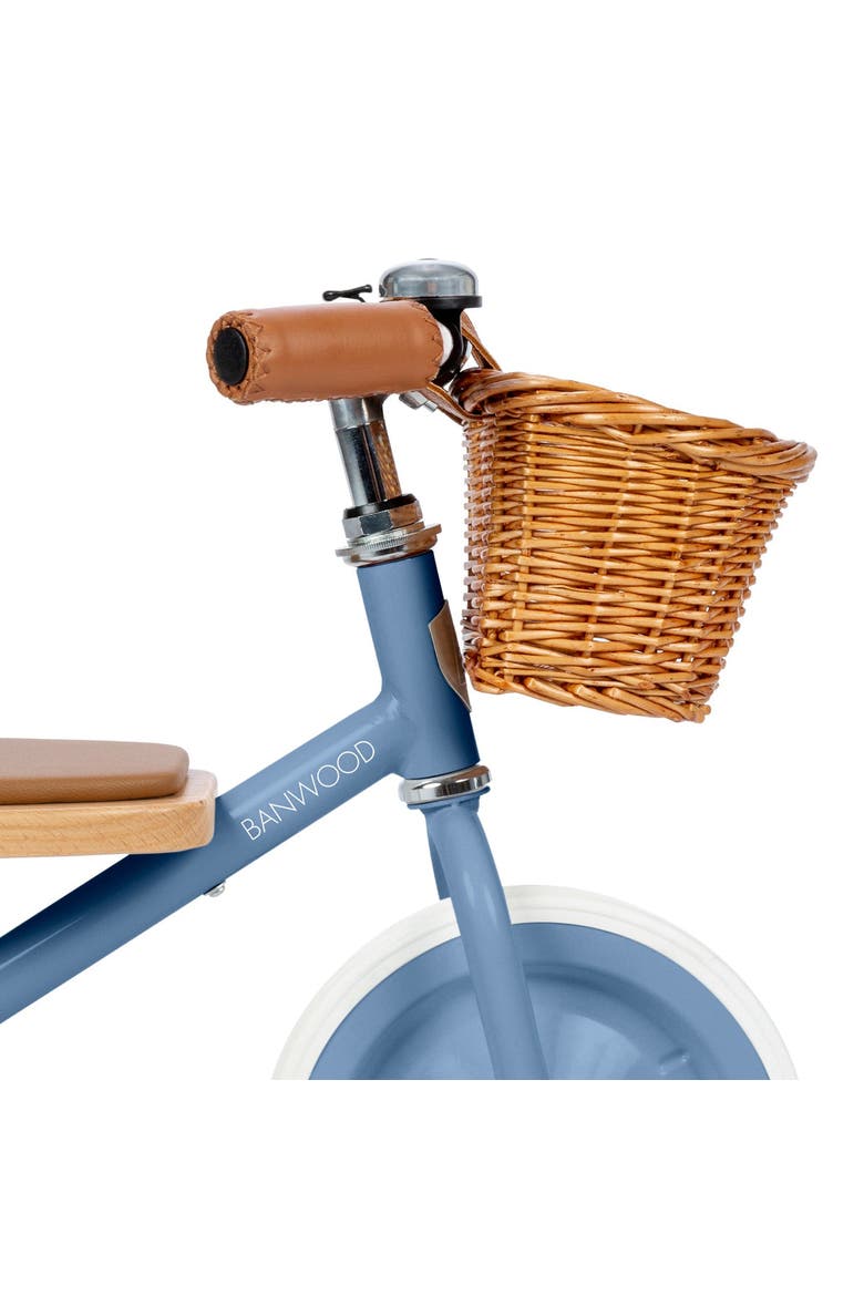 Trike, Alternate, color, Blue