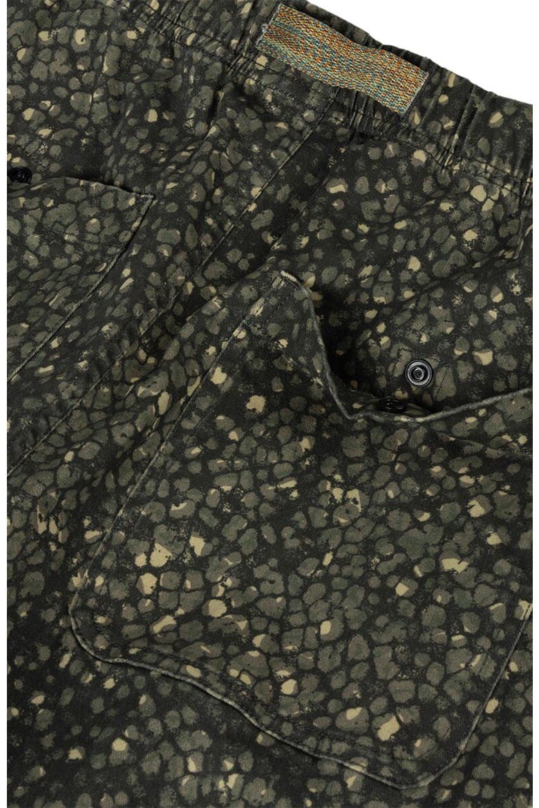 Venture Daily Pant G2 - Women's, Alternate, color, Kalamata Bonneville Print