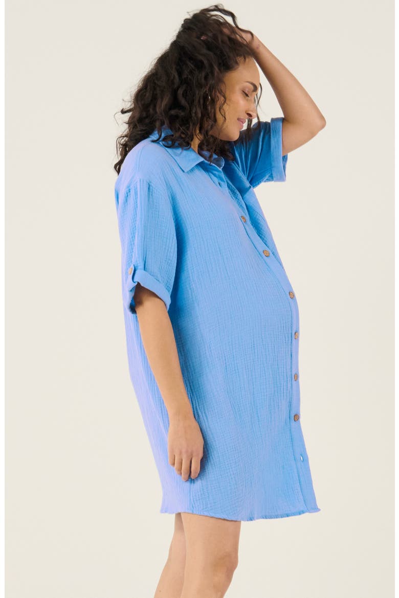 Bertille maternity and nursing beach dress, Alternate, color, Blue