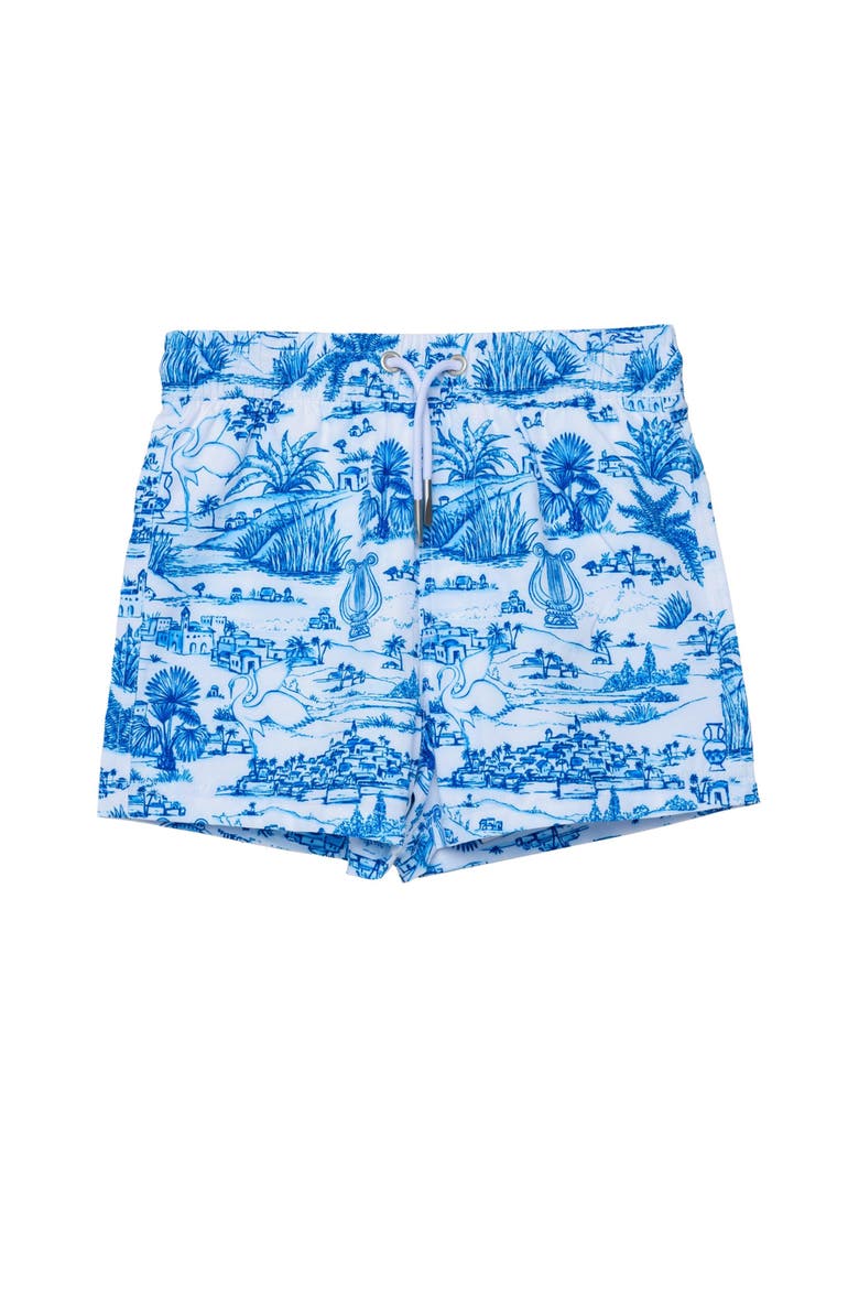 Summer Toile Drawstring Swim Shorts Swimsuit, Main, color, Blue-White