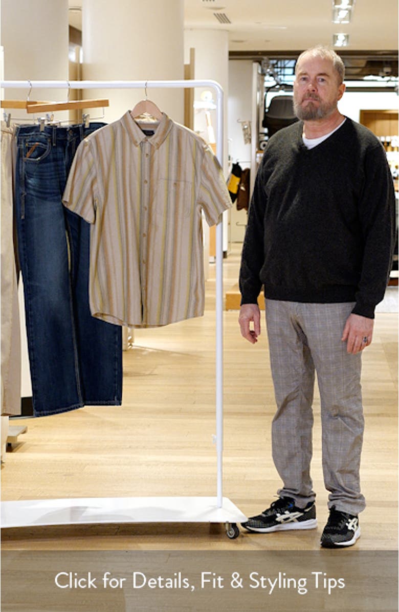 Bayside Stripe Short Sleeve Cotton Button-Down Shirt, sales video thumbnail