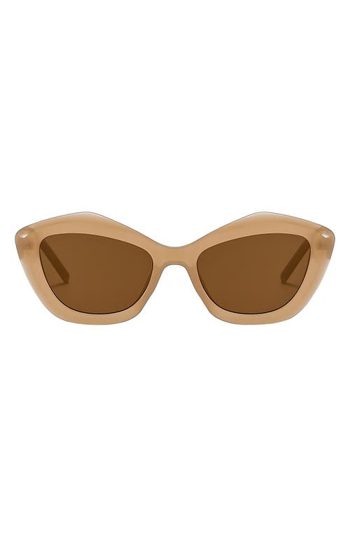 Fifth & Ninth Sloane 54mm Polarized Cat Eye Sunglasses in Tan /Brown 