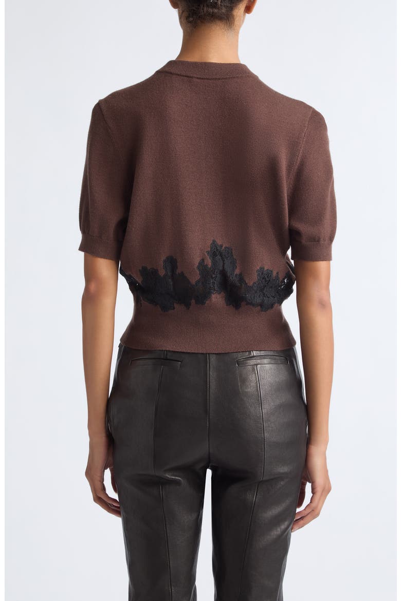 Vika Short Sleeve Merino Wool Sweater, Alternate, color, WALNUT/ JET