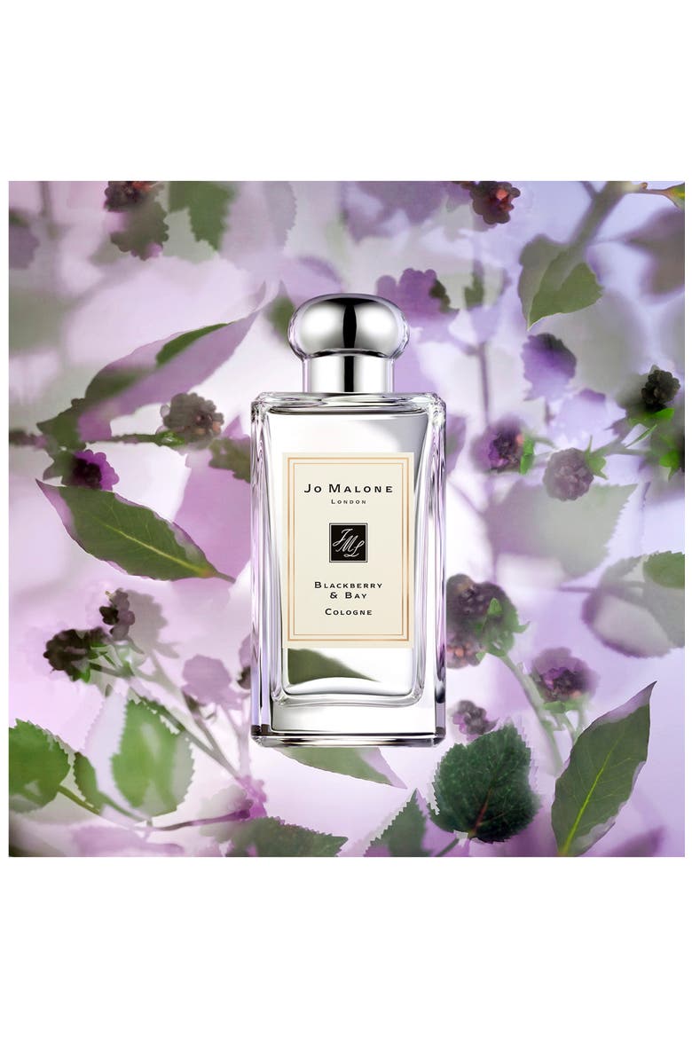 Blackberry & Bay Cologne | Nordstrom