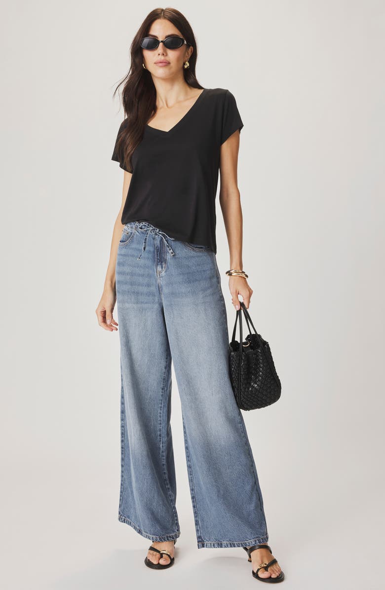 Splendid Lila Regen V-Neck Cotton T-Shirt, Alternate, color, Black